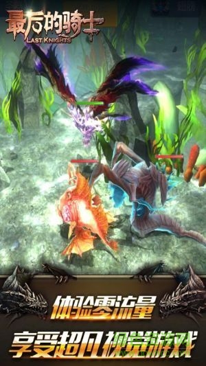 最后的骑士的图册