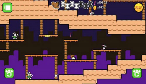 袜子收集者的图册