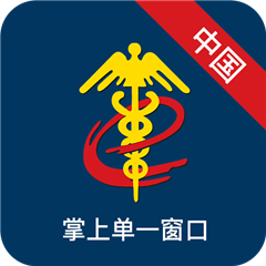 掌上单一窗口登录软件