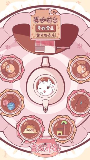 云撸猫咪的图册