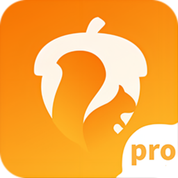 坚果隐藏pro最新版