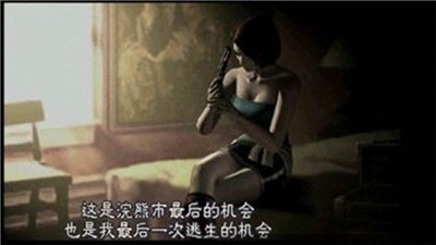 生化危机3中文重制版的图册