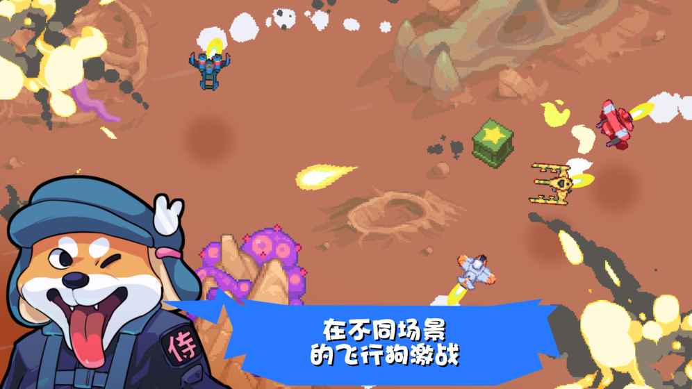 雷霆战狗的图册