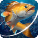 钓鱼胡克最新版下载