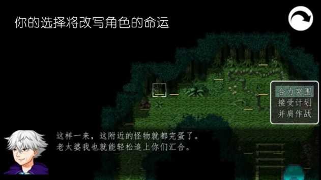 冠名之地物语银完整版的图册