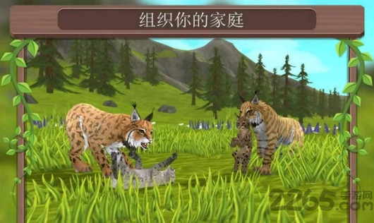 野生动物争霸手机版的图册