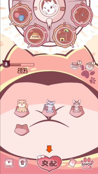 云撸猫咪的图册