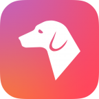 看道(导盲小犬)