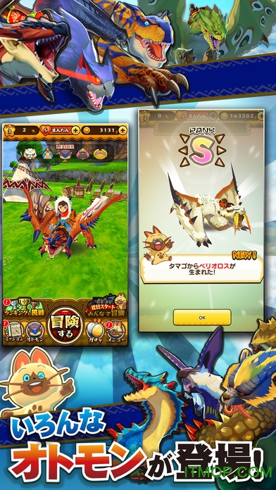 伴兽宝珠怪物猎人物语的图册