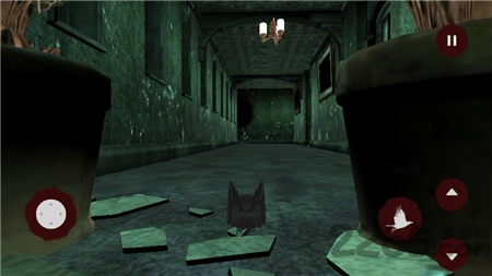 思想乌鸦thinkcrow的图册