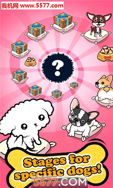 狗狗收藏家安卓版(MergeDogs)的图册