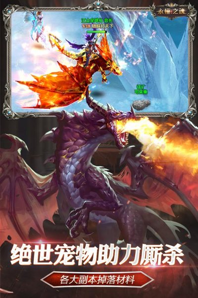 永恒之魂游戏的图册