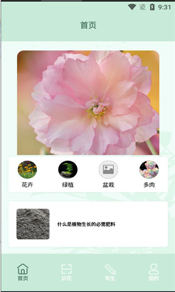 开心花园踏青官方版的图册