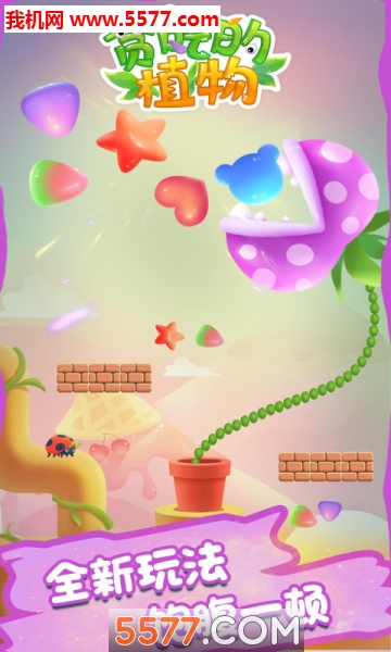 贪吃的植物游戏的图册