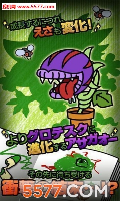 我的牵牛狮安卓版的图册