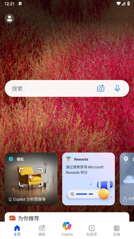 必应搜索引擎手机版的图册