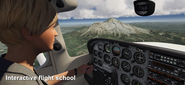 模拟航空飞行2020安卓的图册