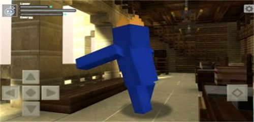 彩虹朋友暴走方块城的图册