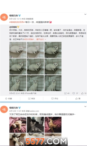 塘小狸安卓版的图册