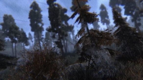 暗夜黑刺的图册