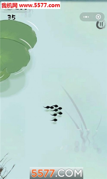 蝌蚪变王八安卓版(墨虾探蝌)的图册