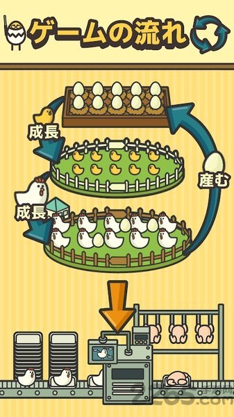 鸡蛋小鸡工厂最新版的图册