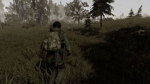 暗夜黑刺的图册