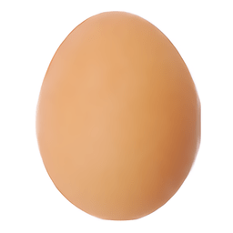 煎顆蛋吧游戏最新版