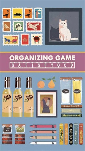 整理游戏满足OCD的图册