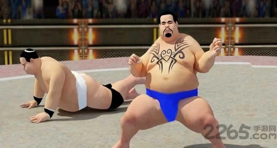 相扑格斗内购破解版的图册