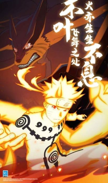 火影豪杰物语的图册