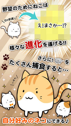 这是猫吗？的图册