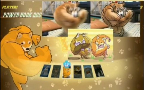 勾拳柴犬的图册