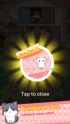 合并凯蒂猫的图册