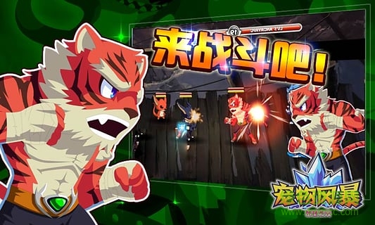 宠物风暴希望之光的图册