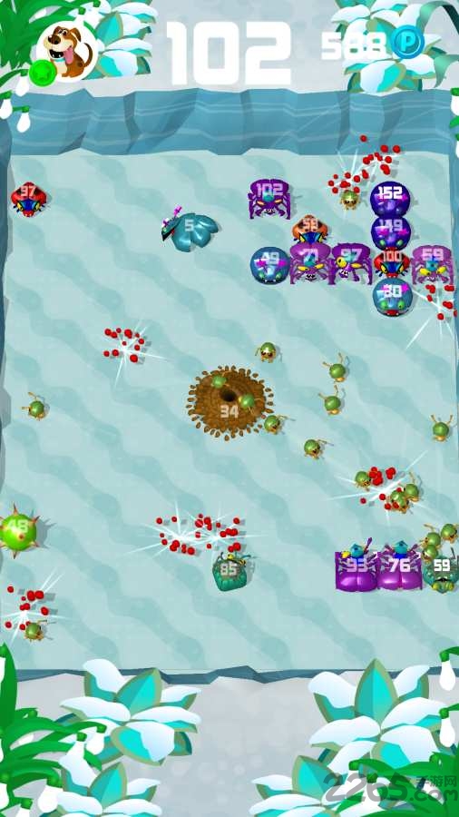 蚂蚁大战虫子手机游戏的图册