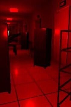 误入后室中文版的图册