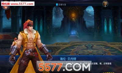 剑魂觉醒手游(格斗闯关)的图册