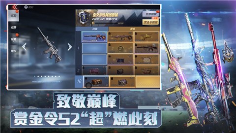 穿越火线枪战王者体验服的图册