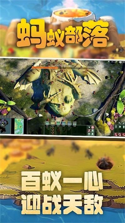 蚂蚁部落的图册