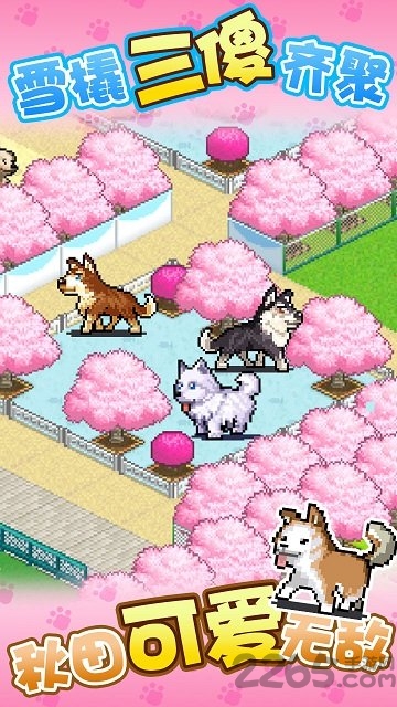 发现汪星人内购破解版的图册