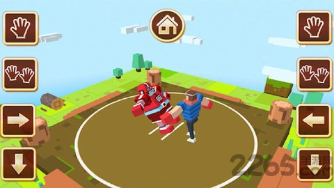 相扑格斗汉化版的图册