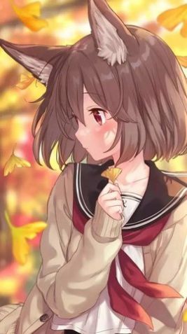 严选漫画最新版的图册