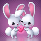 接单盒子安卓版