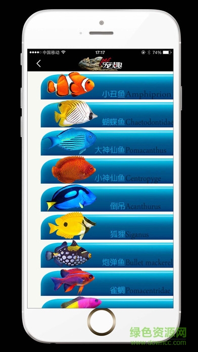 pet宠趣手机版的图册