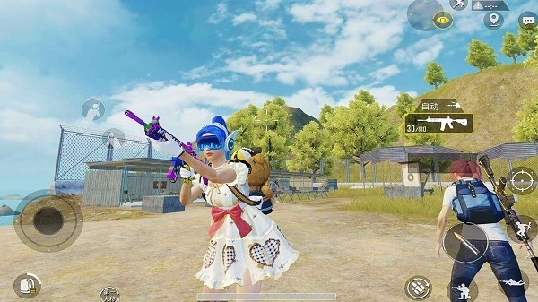 王牌吃鸡特种部队的图册