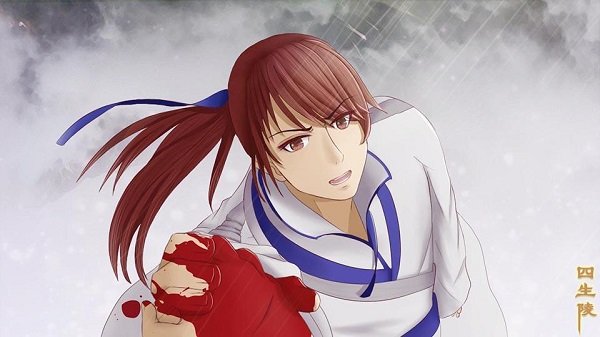 穿越时空的少女手游的图册