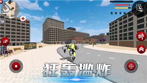 雷霆风暴行动的图册