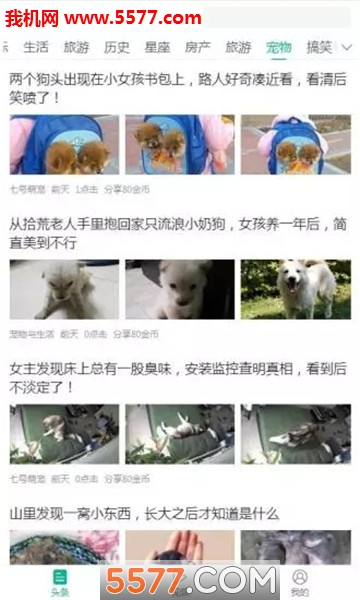 动力头条app的图册