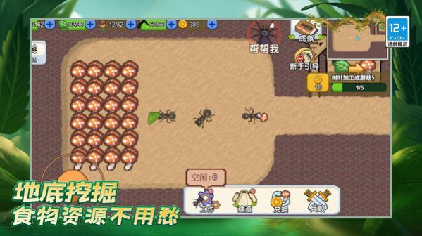 蚂蚁之王复仇版的图册